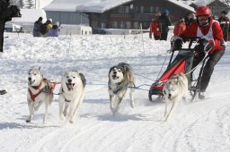 Lenk 2012 SM